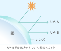 強力な紫外線をカット