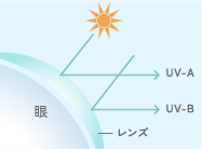 強力な紫外線をカット