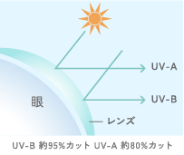 強力な紫外線をカット